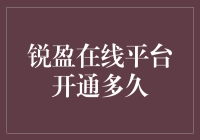 锐盈在线平台：上线时间与市场反响分析