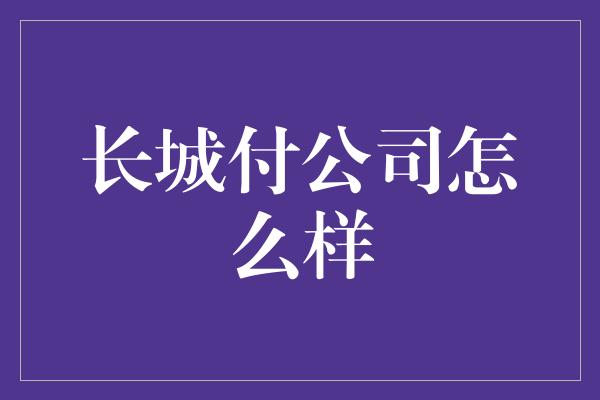 长城付公司怎么样