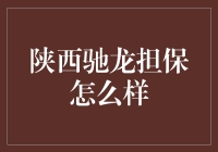 陕西驰龙担保：信用保障与风险管理的守护者