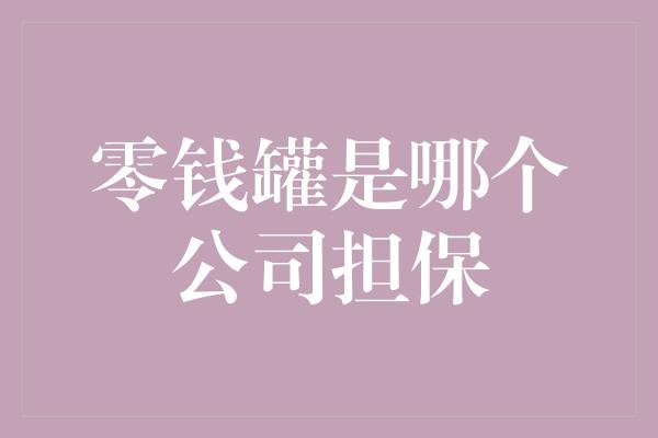 零钱罐是哪个公司担保