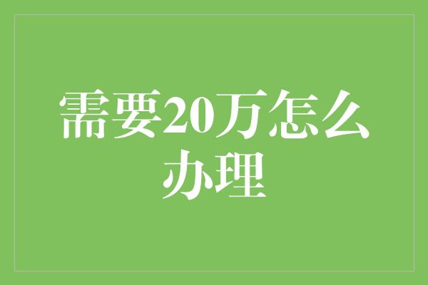 需要20万怎么办理