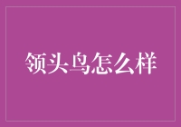 你知道吗？领头鸟其实是一个健忘症患者