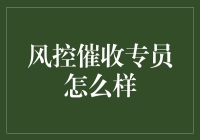 风控催收专员的前景与挑战