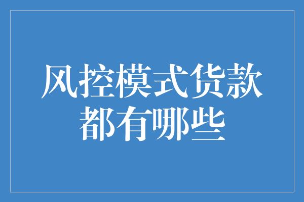 风控模式货款都有哪些