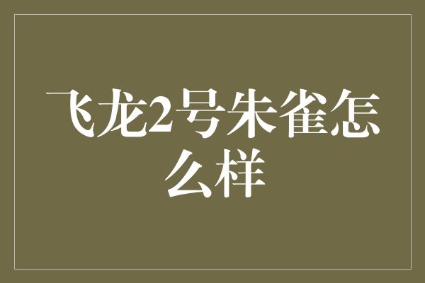 飞龙2号朱雀怎么样