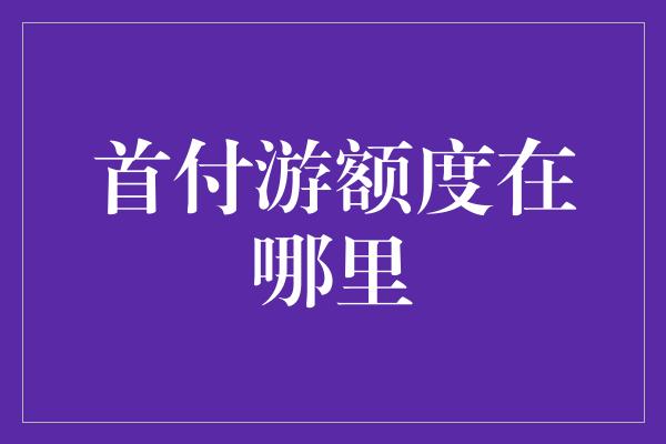 首付游额度在哪里