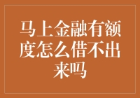 马上金融有额度，怎么我就借不出来？难道我被特殊照顾了吗？