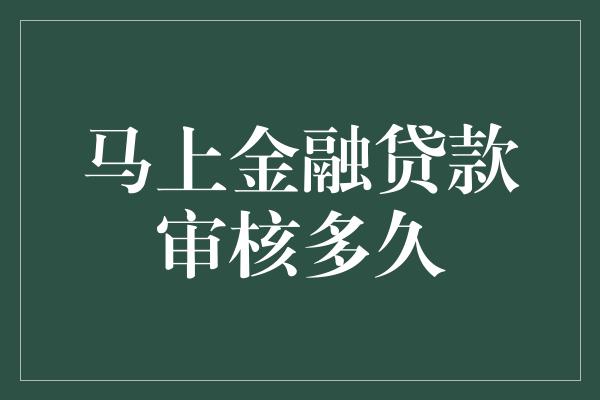 马上金融贷款审核多久