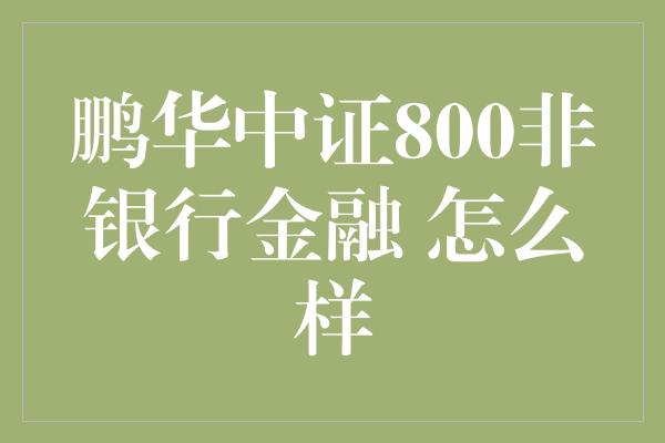 鹏华中证800非银行金融 怎么样