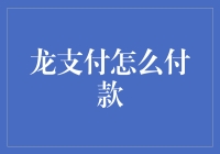 龙支付：如何让付款变得更便捷高效