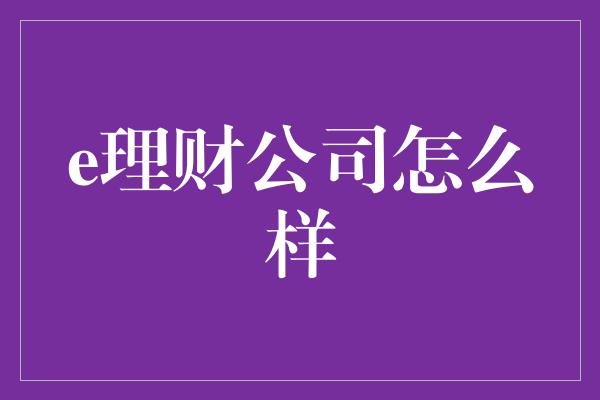 e理财公司怎么样