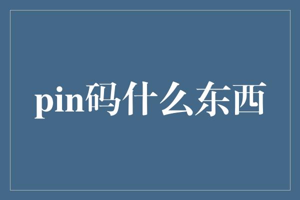 pin码什么东西