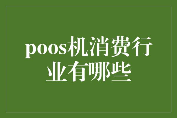 poos机消费行业有哪些