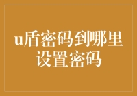 U盾密码设置：安全性与便捷性的考量