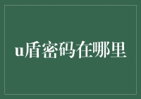 探索U盾密码的神秘面纱：在线安全的守护者