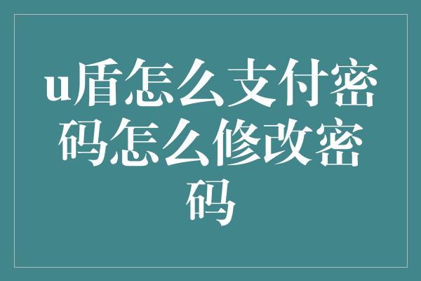 u盾怎么支付密码怎么修改密码