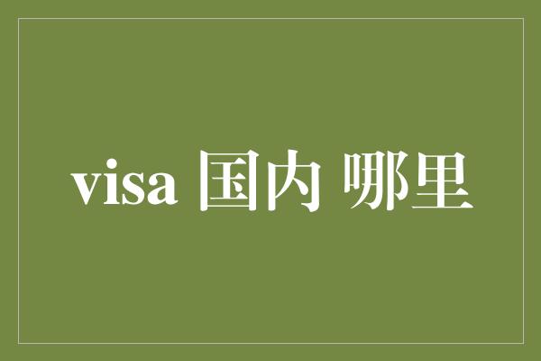 visa 国内 哪里